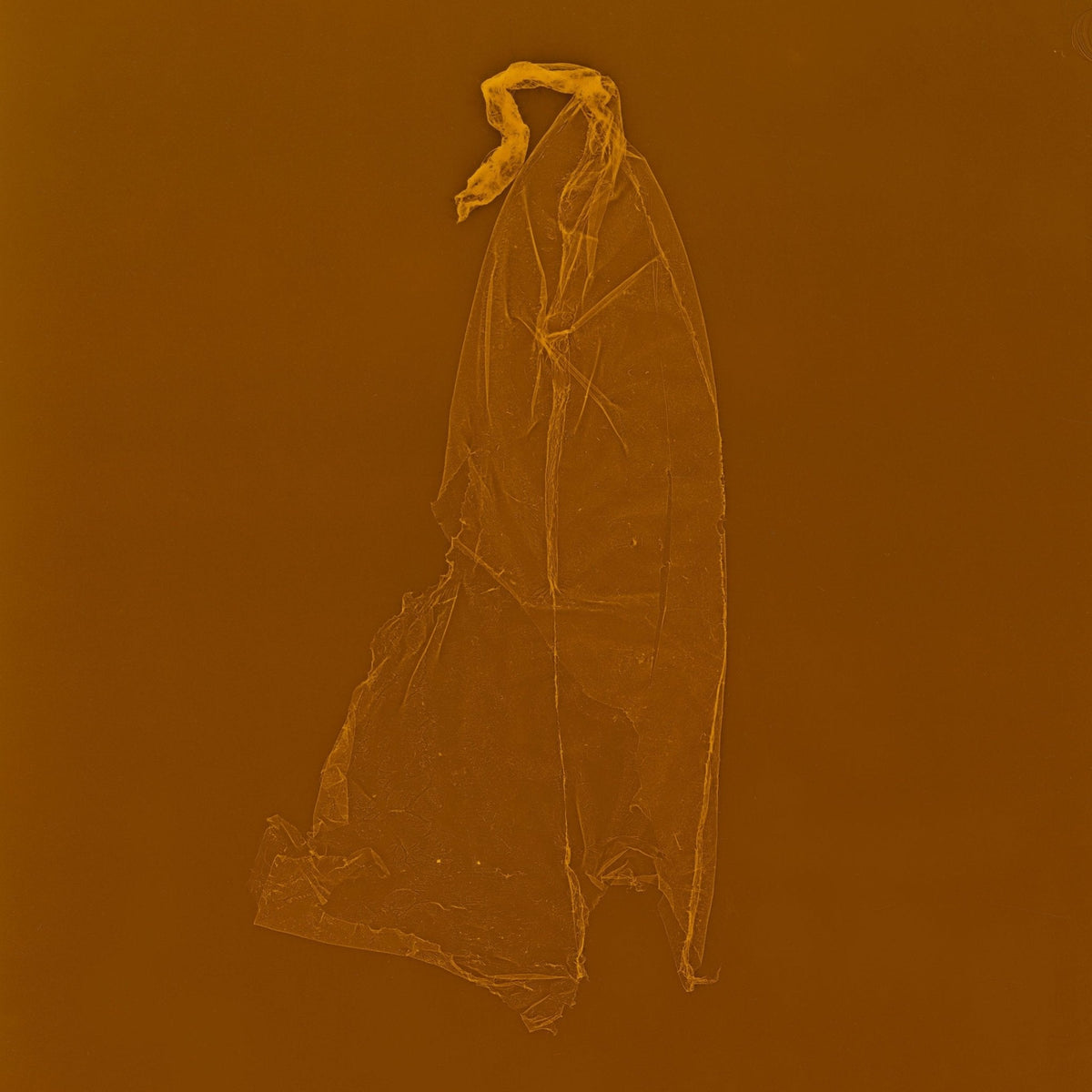 Skins_limited_edition_photograms_katrina_tamatopoulos_the_home_of_sustainable_things_host