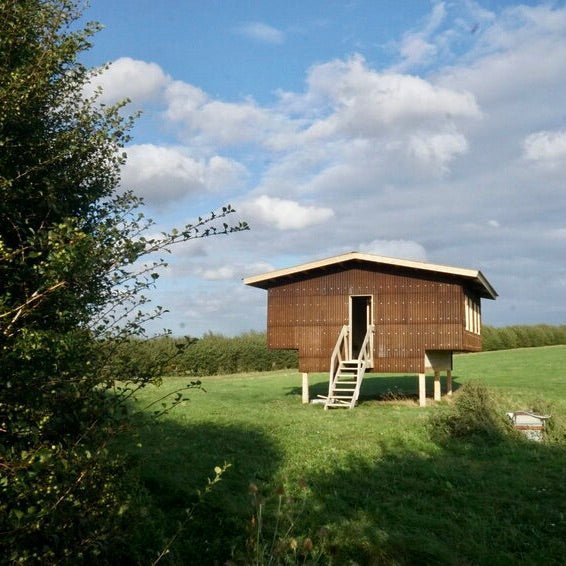 Hemp building by Margent Farm, featured in HOST's WHY HEMP MATTERS exhibition during Islington's Together Greener festival.