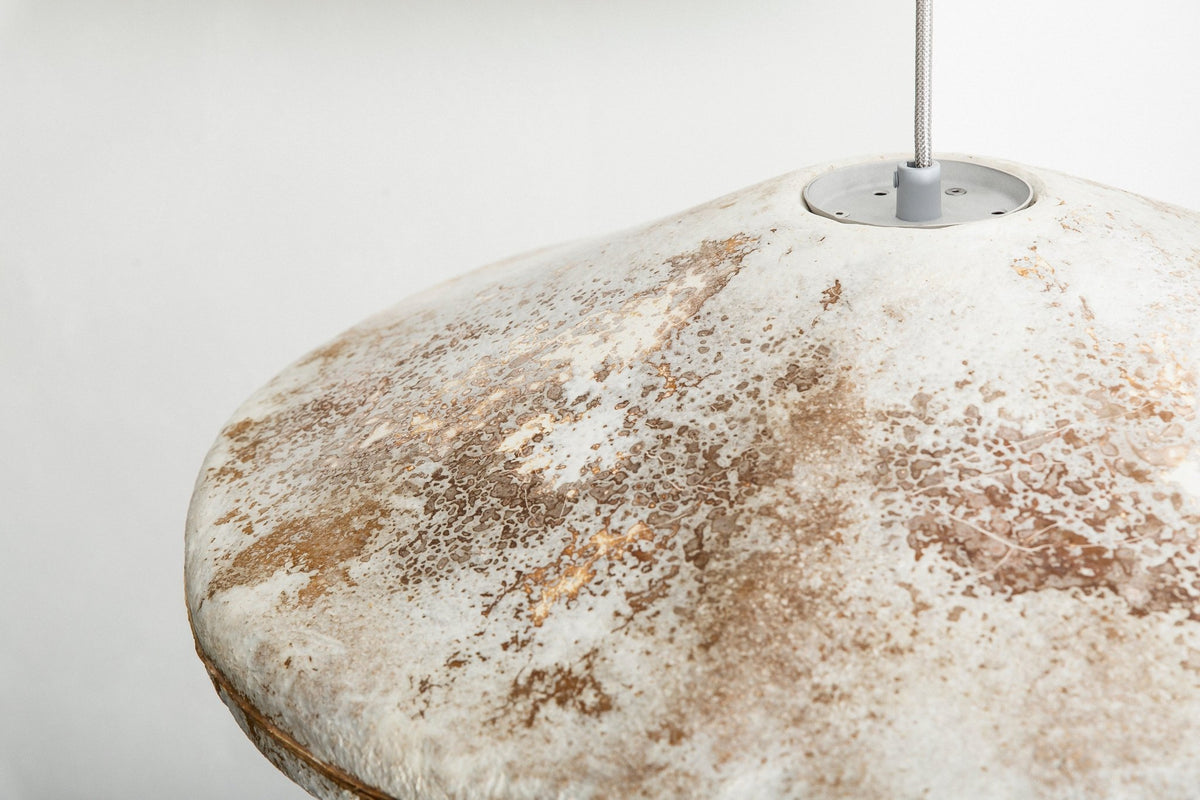 Myceen collection of mycelium furniture, sculptural lighting and acoustic panels made from grown biomaterials.