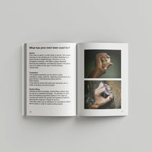 Load image into Gallery viewer, exploration_in_pine_resin_jacob_marks_book_the_home_of_sustainable_things_4