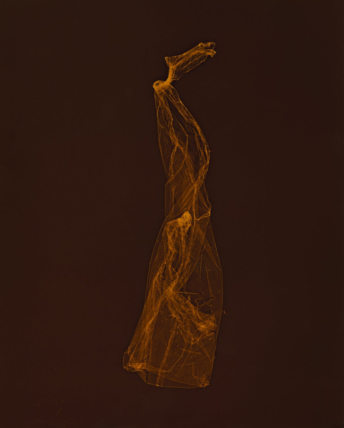 SKINS 9 limited-edition photogram by Katrina Stamatopoulos, created on expired Crystal Archive photographic paper.