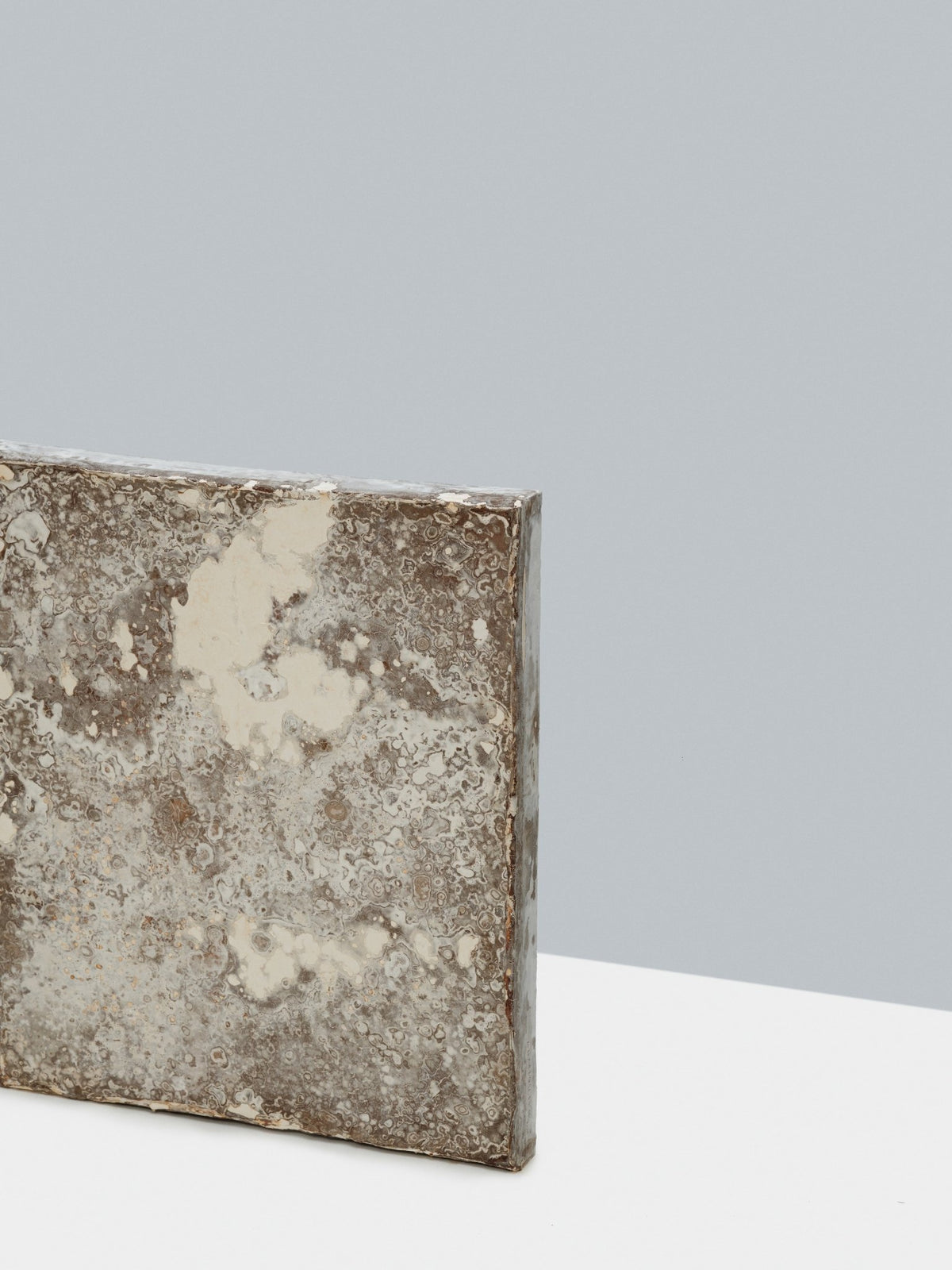 acoustic-panel-mushroom-myceliated-organic-waste-mycelium-myceen-the_home_of_sustainable_things_2
