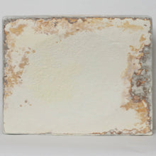 Load image into Gallery viewer, acoustic-panel-mushroom-myceliated-organic-waste-mycelium-myceen-the_home_of_sustainable_things_L_1_host