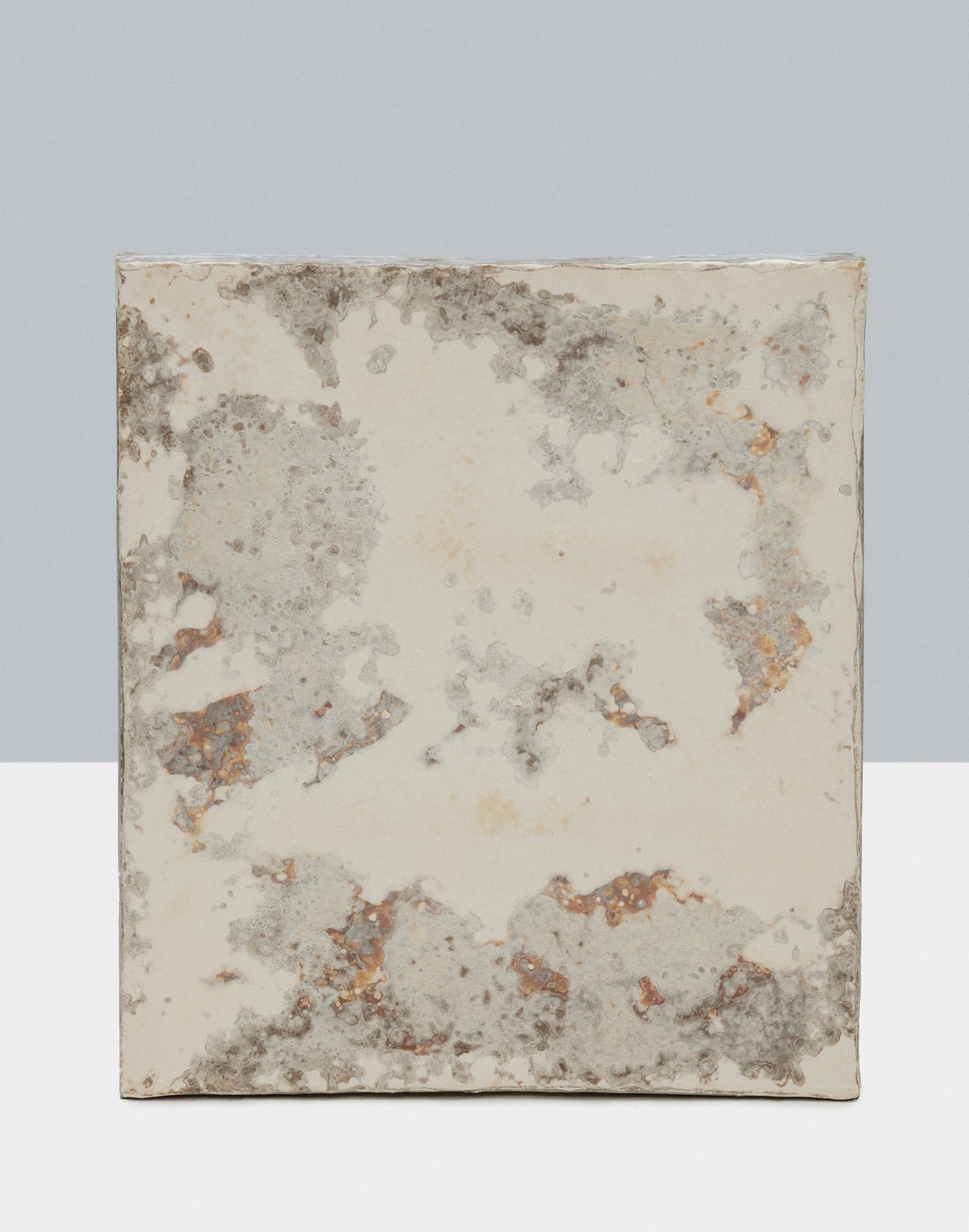acoustic-panel-mushroom-myceliated-organic-waste-mycelium-myceen-the_home_of_sustainable_things_L_1_host_A