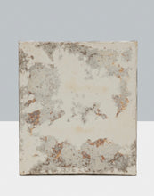 Load image into Gallery viewer, acoustic-panel-mushroom-myceliated-organic-waste-mycelium-myceen-the_home_of_sustainable_things_L_1_host_A