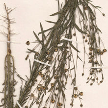 Load image into Gallery viewer, linen-lab-handsoap-250ml-studio-plastique-the_home_of_sustainable_things