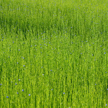 Load image into Gallery viewer, linen-lab-handsoap-250ml-studio-plastique-the_home_of_sustainable_things