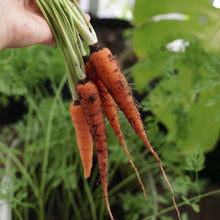 Load image into Gallery viewer, mono-no-aware-vase-amanda-tong-the_home_of_sustainable_things