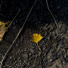 Load image into Gallery viewer, mono-no-aware-vase-amanda-tong-the_home_of_sustainable_things