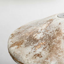 Load image into Gallery viewer, pendant-lamp-b-wise-myceliated-organic-waste-mycelium-myceen-the_home_of_sustainable_things