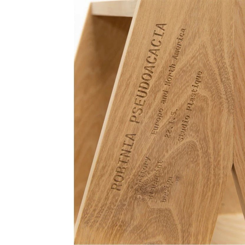plus-fiftytwo-step-stool-robinia-pseudoacacia-studio-plastique-the_home_of_sustainable_things