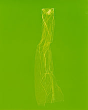 Load image into Gallery viewer, skins_contemporary_photogram_art_print_KatrinaStamatopoulos_the_home_of_sustainable_things_13