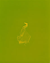 Load image into Gallery viewer, skins_contemporary_photogram_art_print_KatrinaStamatopoulos_the_home_of_sustainable_things_3