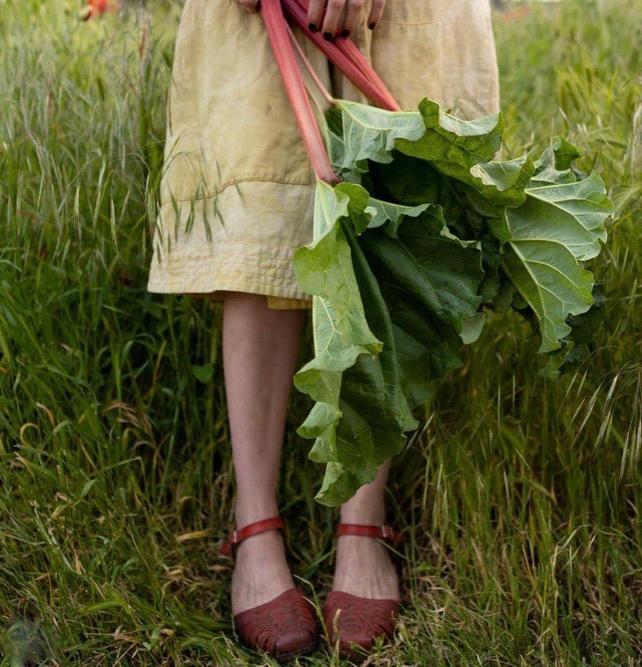 grow_cook_dye_wear_book_bella_gonshorovitz-the_home_of_sustainable_things