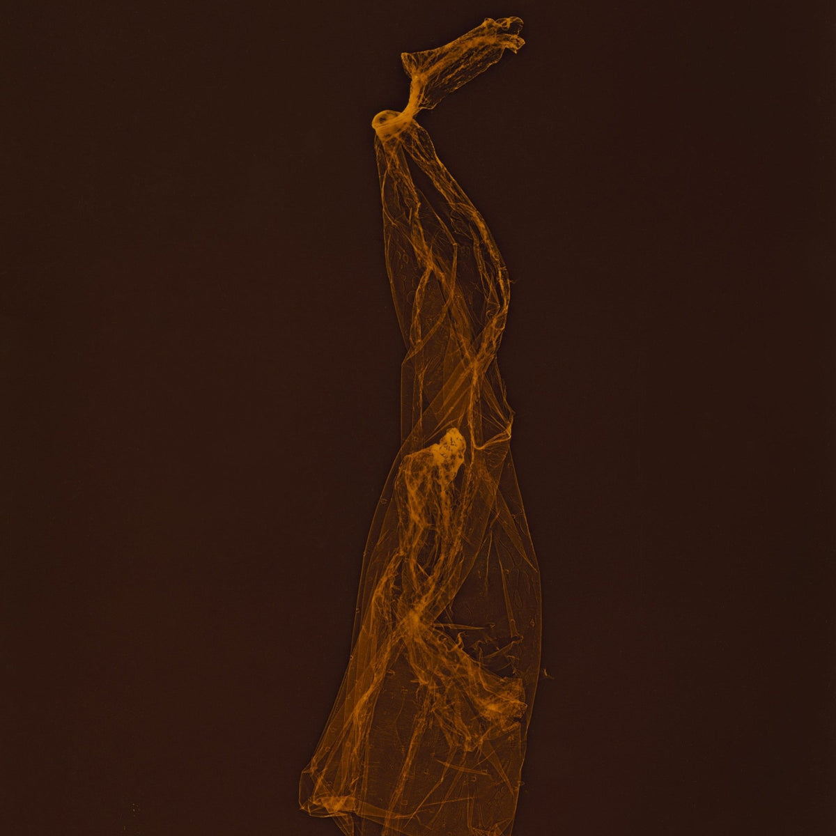 SKINS limited-edition photogram by Katrina Stamatopoulos, created using expired photographic paper.