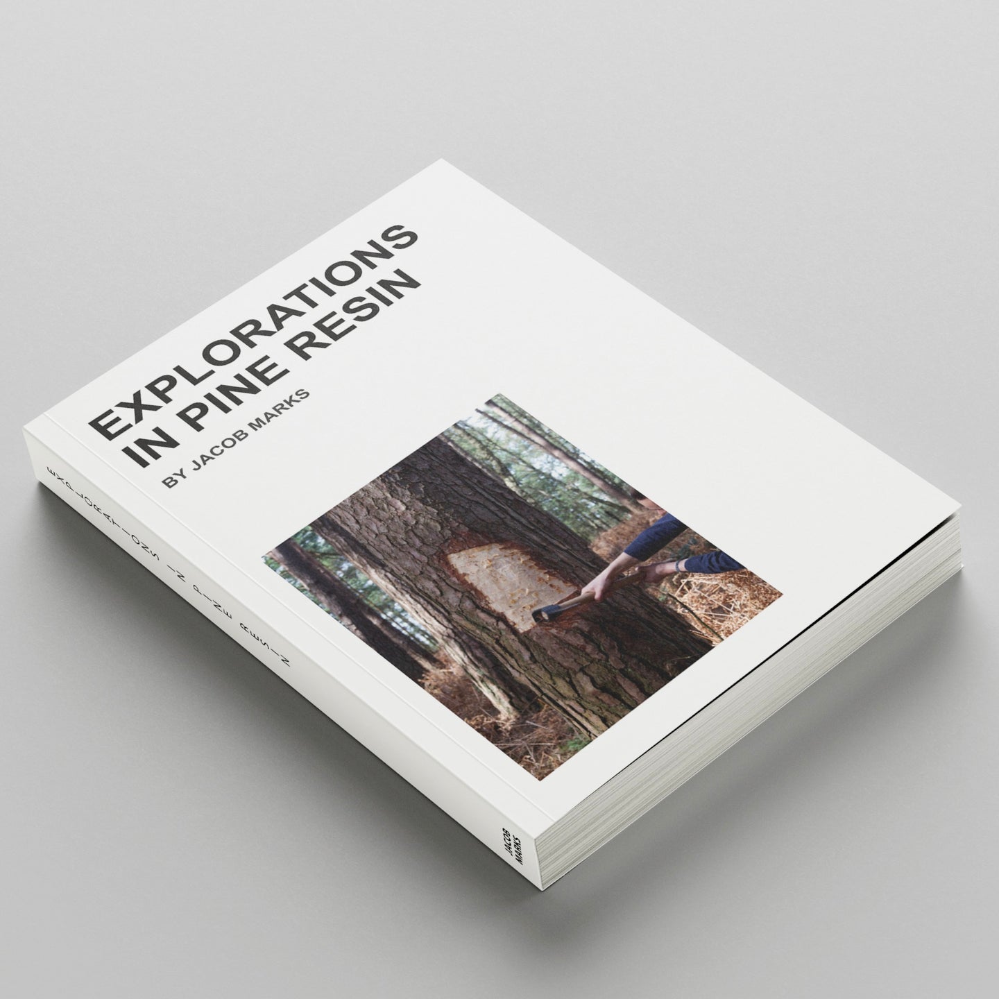 Exploration_in_Pine_Resin_jacob_marks_the_home_of_sustainable_things_31