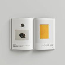 Load image into Gallery viewer, exploration_in_pine_resin_jacob_marks_book_the_home_of_sustainable_things_5
