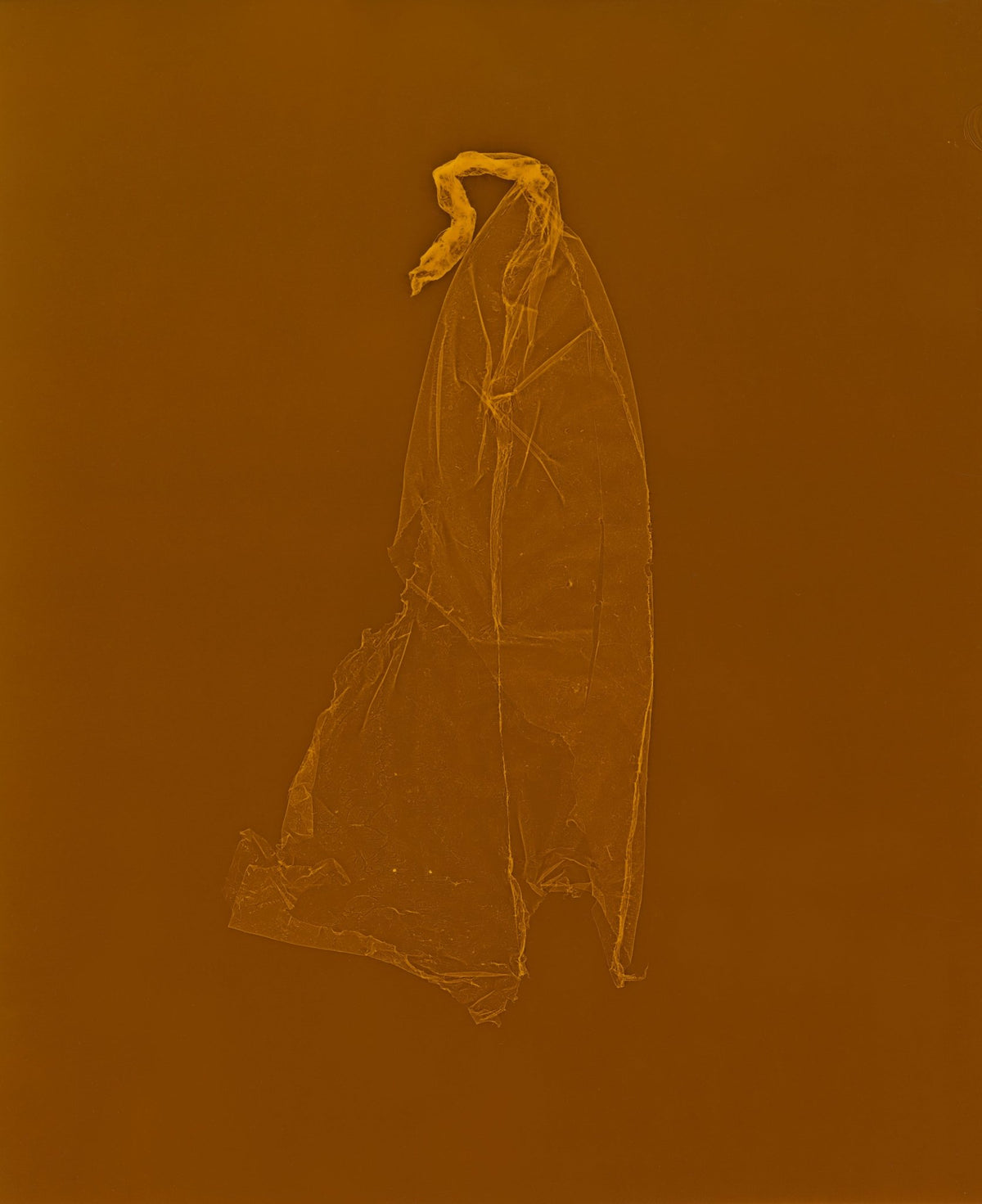 SKINS 8 | Contemporary Photogram Art Print