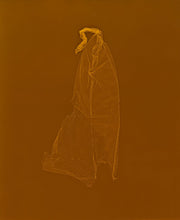 Load image into Gallery viewer, SKINS 8 | Contemporary Photogram Art Print
