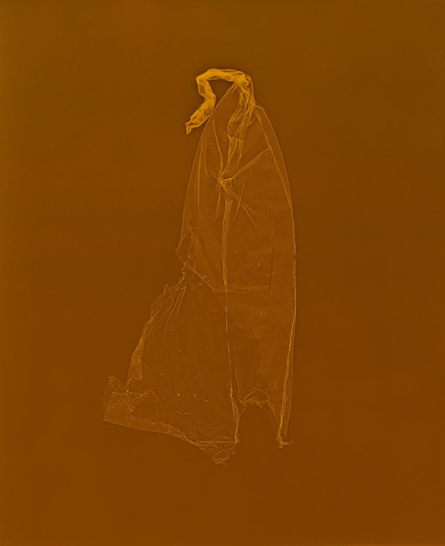 SKINS 8 | Contemporary Photogram Art Print