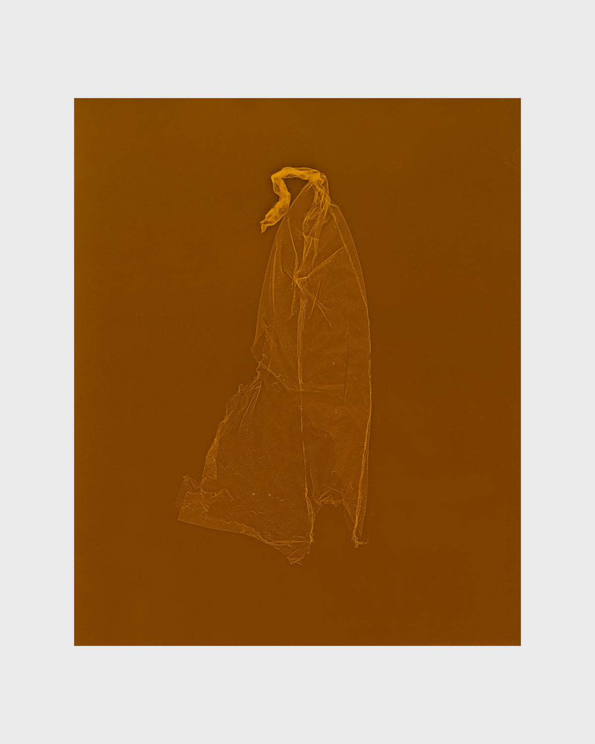 SKINS 8 | Contemporary Photogram Art Print