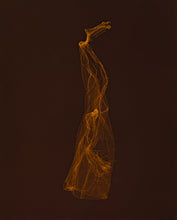 Load image into Gallery viewer, SKINS 9 | Contemporary Photogram Art Print
