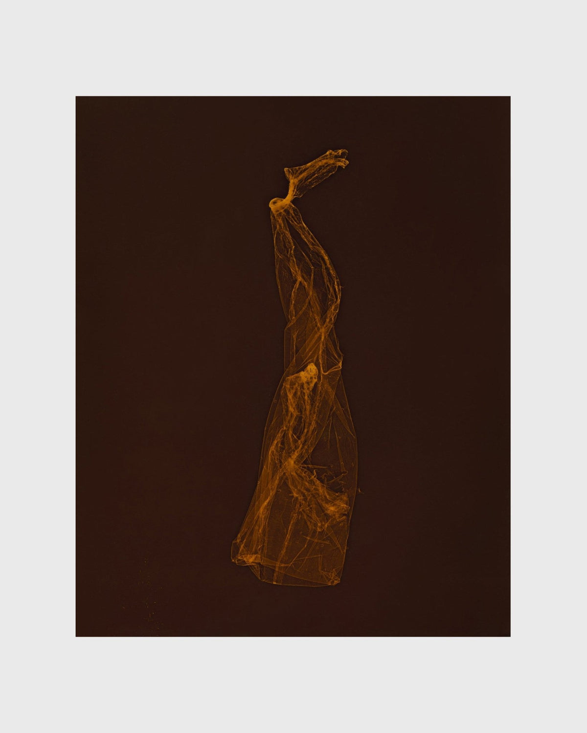 SKINS 9 | Contemporary Photogram Art Print