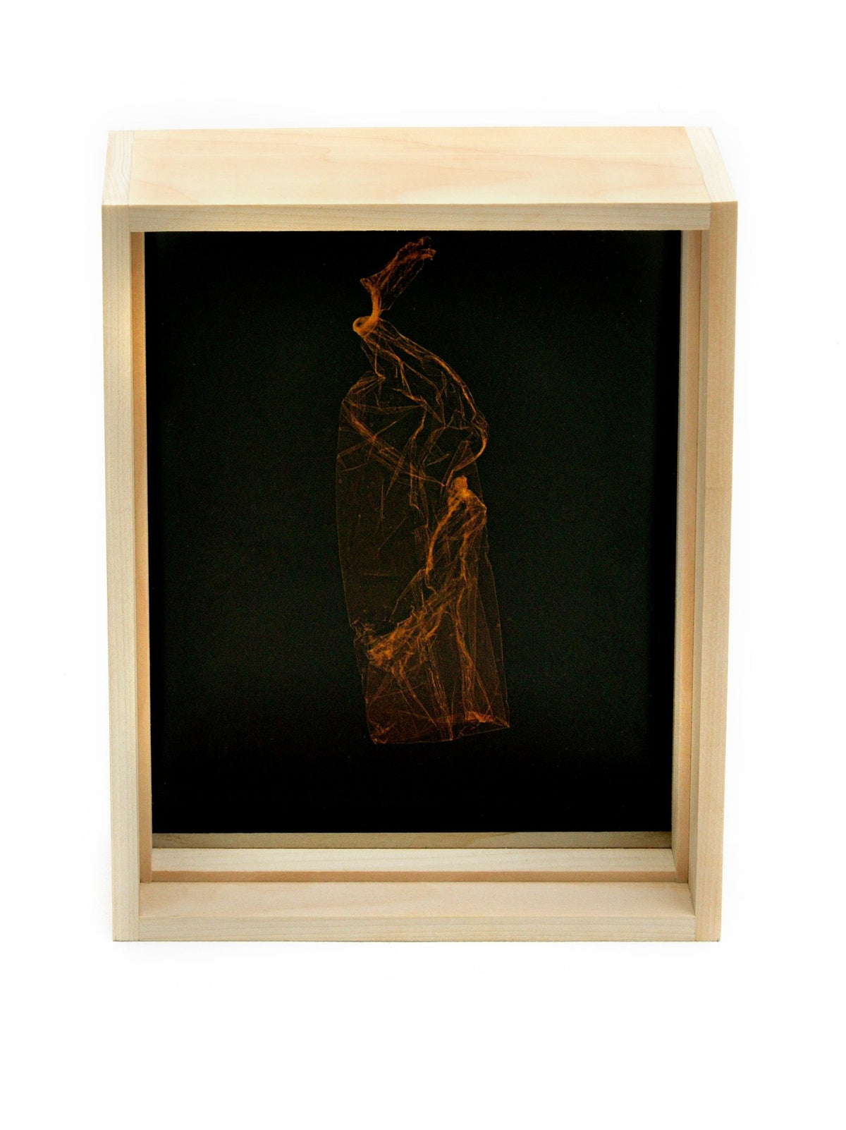 SKINS 9 | Contemporary Photogram Art Print