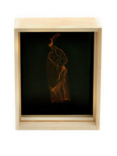 Load image into Gallery viewer, SKINS 9 | Contemporary Photogram Art Print
