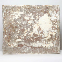 Load image into Gallery viewer, acoustic-panel-mushroom-myceliated-organic-waste-mycelium-myceen-the_home_of_sustainable_things
