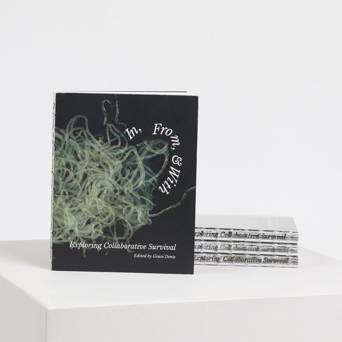 in-from-and-with-book-grace-denis-the-home-of-sustainable-thing