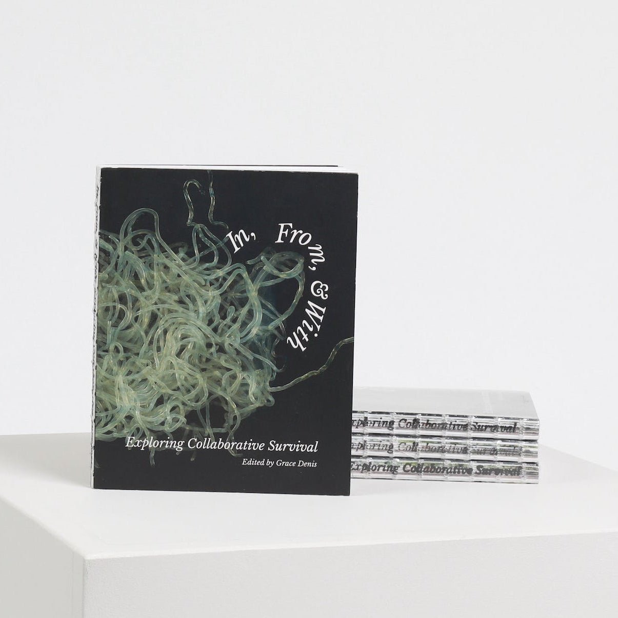 in-from-and-with-book-grace-denis-the-home-of-sustainable-thing