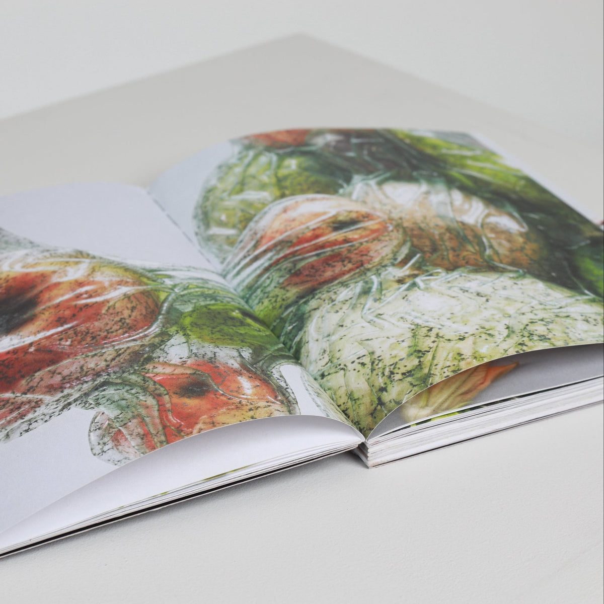 in-from-and-with-book-grace-denis-the-home-of-sustainable-thing_3