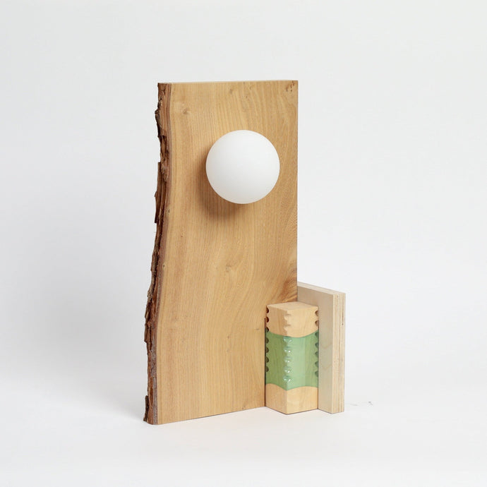 joining-bottles-wood-slice-lamp-wood-offcuts-plastic-bottles-micaella-pedros-the_home_of_sustainable_things_1