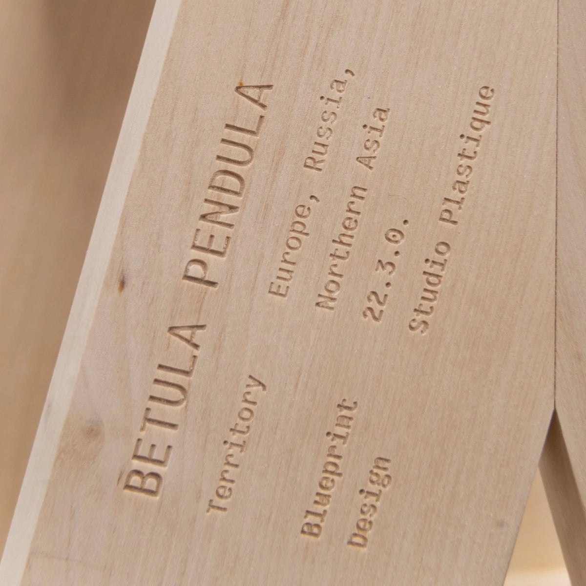 plus-fiftytwo-step-stool-betula-pendula-studio-plastique-the_home_of_sustainable_things