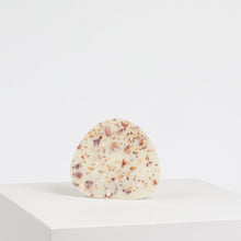 Load image into Gallery viewer, seashell-tray-seashells-corn-starch-censis-rubliss-the_home_of_sustainable_things_031
