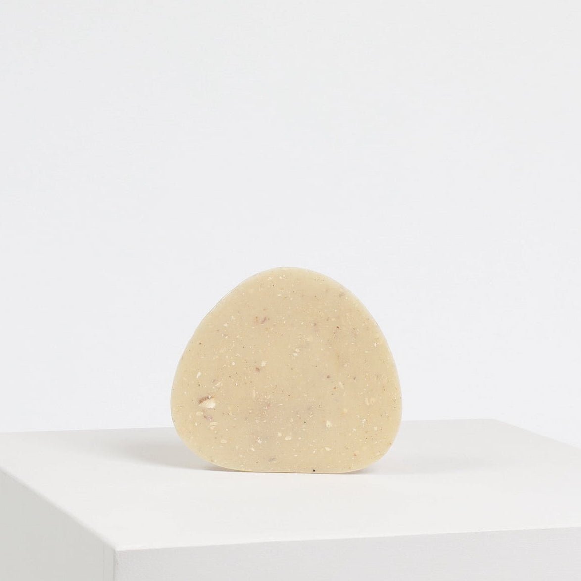 Seashell Tray Medium | Seashell & Corn Starch Biomaterial – THE HOME OF ...