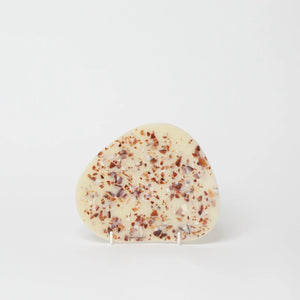 seashell-tray-seashells-corn-starch-censis-rubliss-the_home_of_sustainable_things