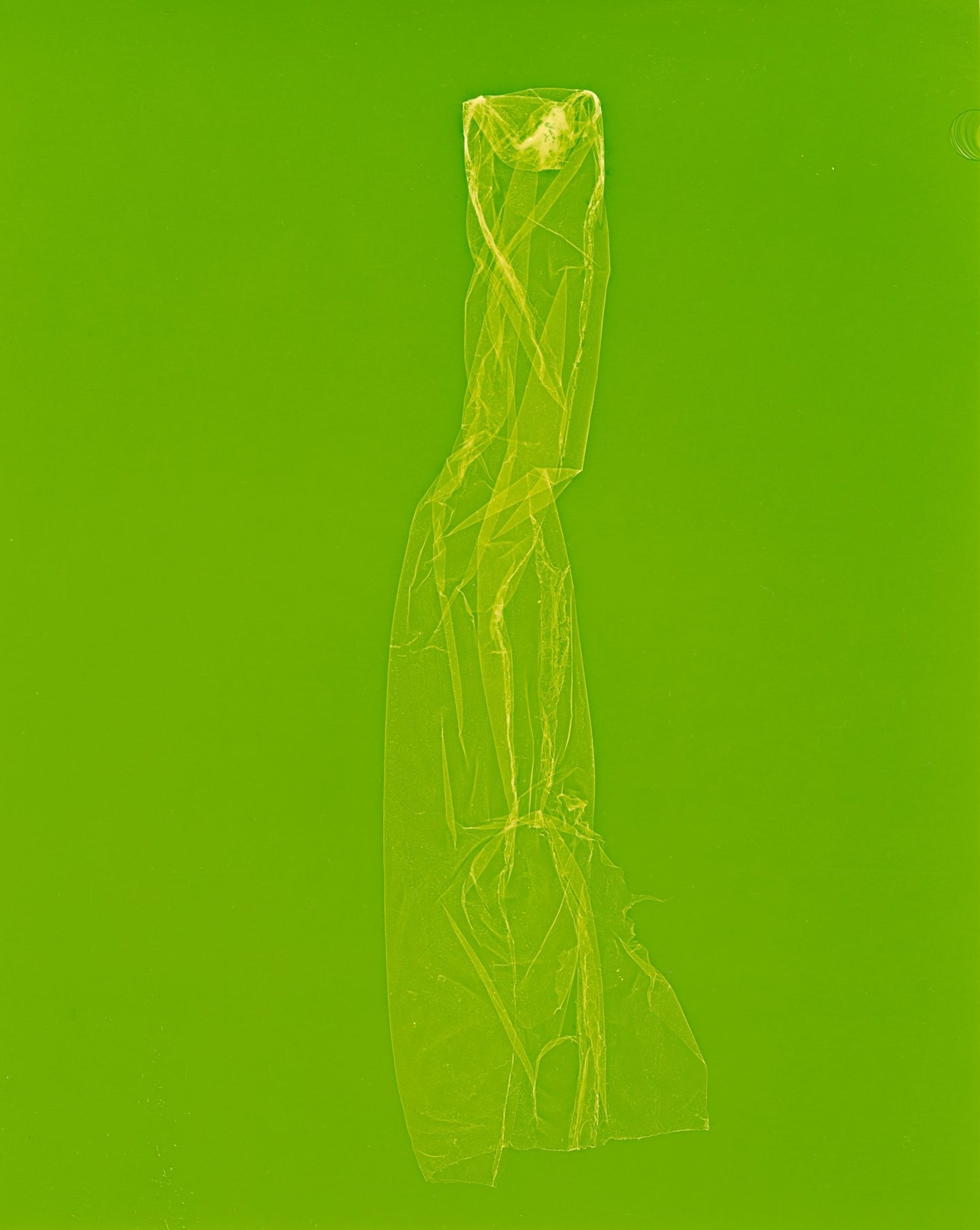 skins_contemporary_photogram_art_print_KatrinaStamatopoulos_the_home_of_sustainable_things_13