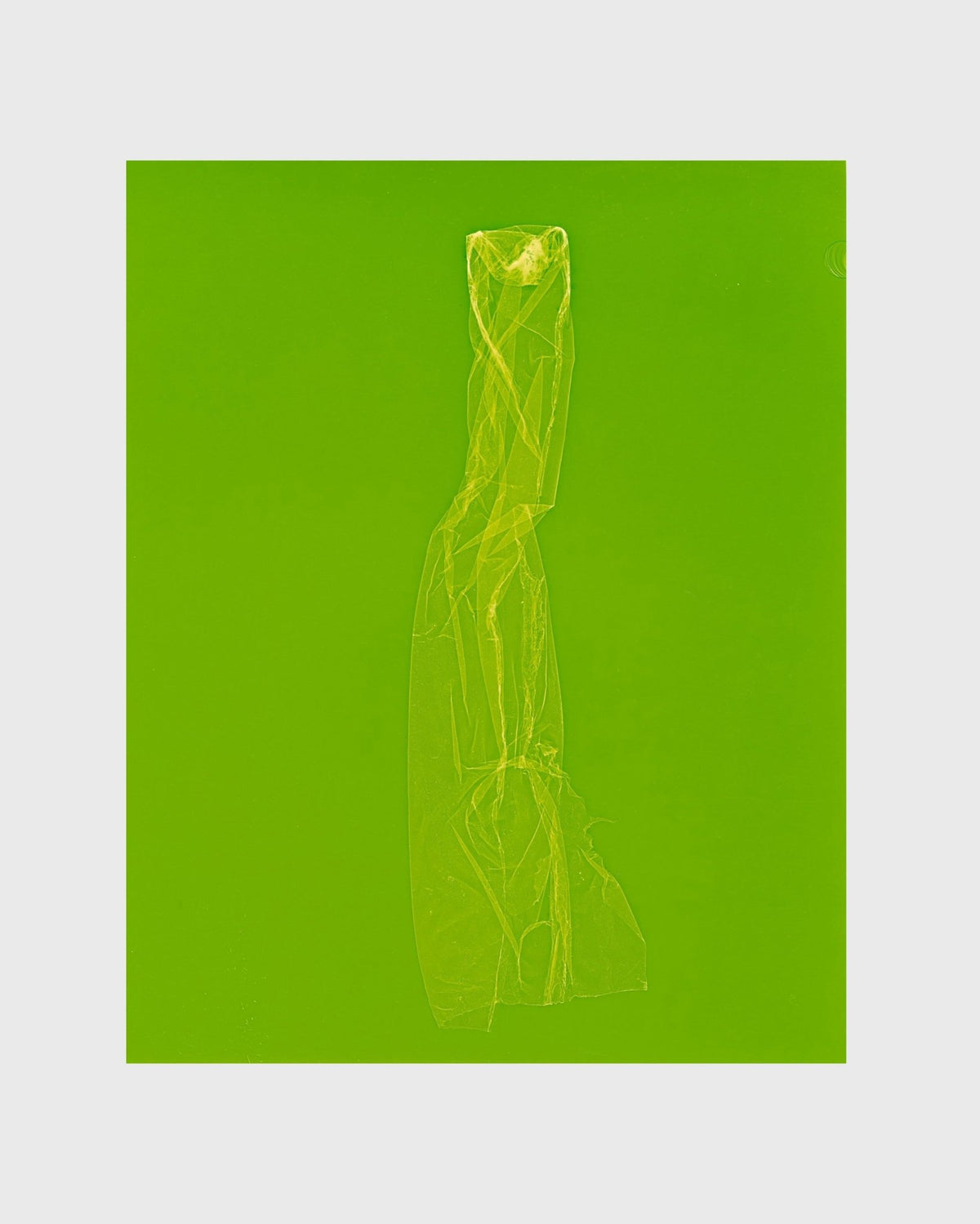 SKINS 2 | Contemporary Photogram Art Print