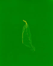 Load image into Gallery viewer, skins_contemporary_photogram_art_print_KatrinaStamatopoulos_the_home_of_sustainable_things_1
