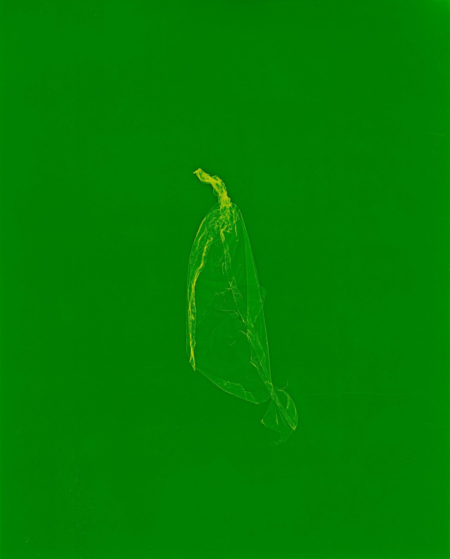 skins_contemporary_photogram_art_print_KatrinaStamatopoulos_the_home_of_sustainable_things_1