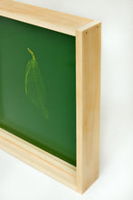 Load image into Gallery viewer, skins_contemporary_photogram_art_print_KatrinaStamatopoulos_the_home_of_sustainable_things_2
