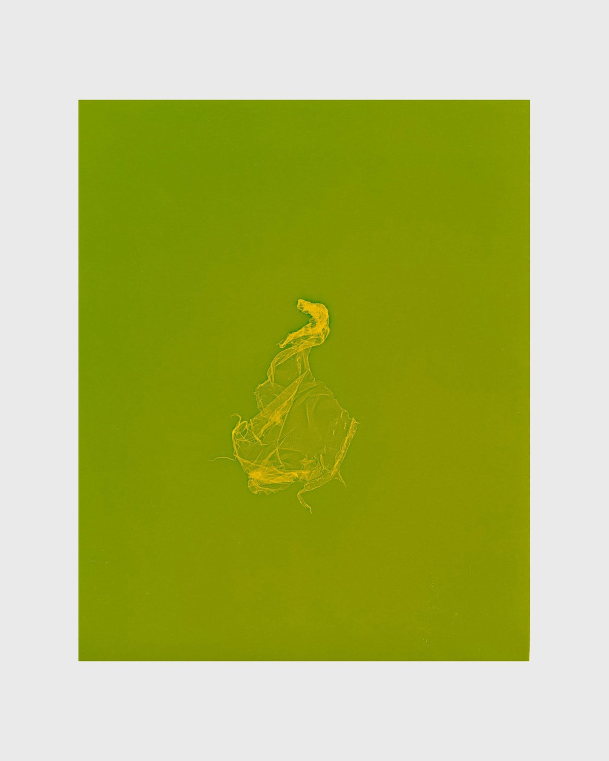 SKINS 3 | Contemporary Photogram Art Print