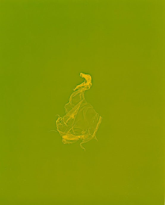 skins_contemporary_photogram_art_print_KatrinaStamatopoulos_the_home_of_sustainable_things_3