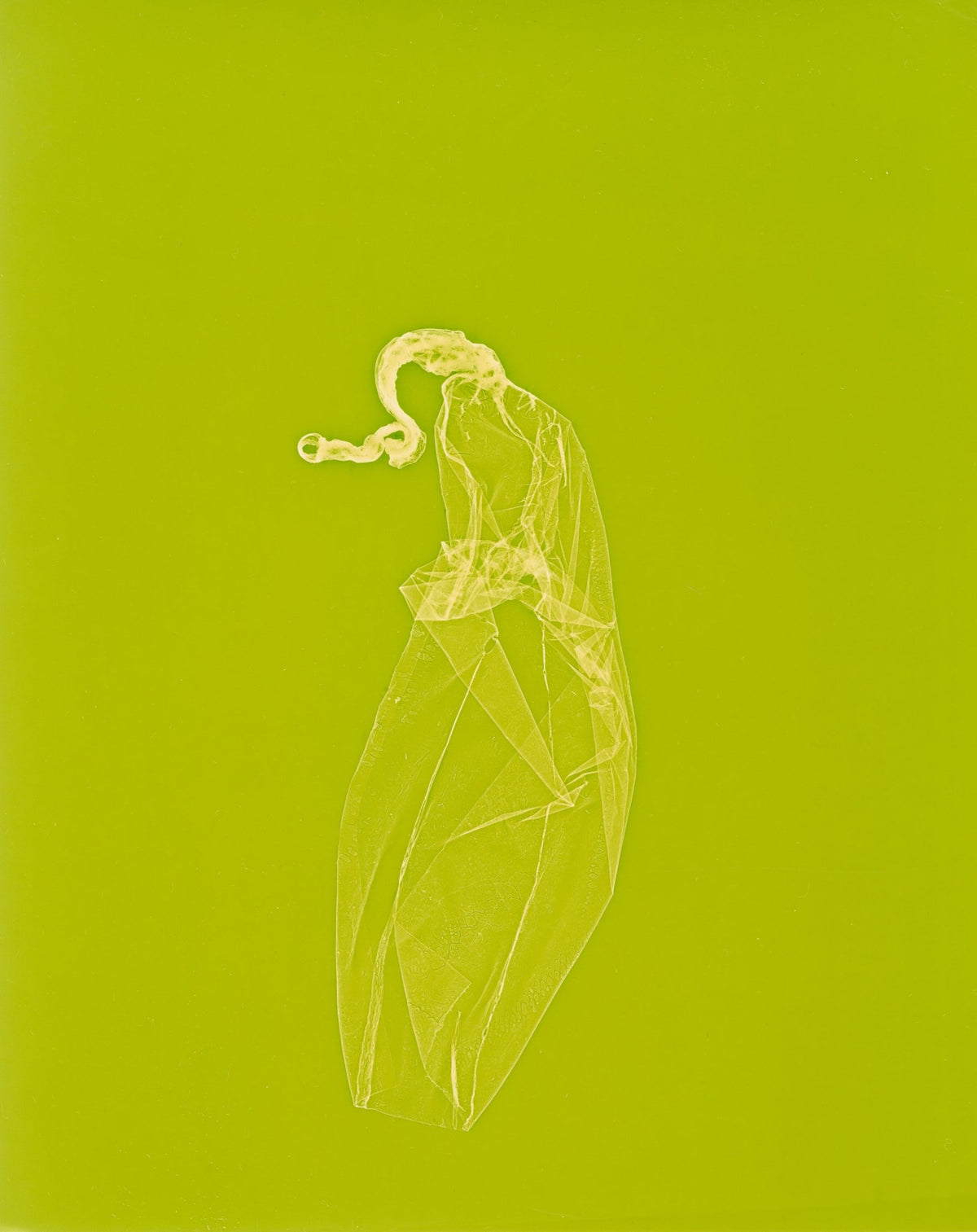skins_contemporary_photogram_art_print_KatrinaStamatopoulos_the_home_of_sustainable_things_4