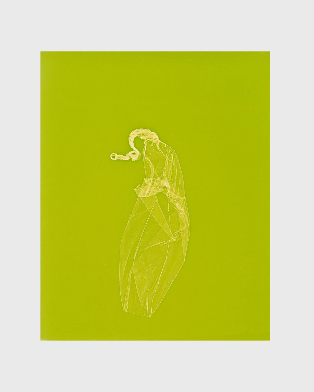 SKINS 4 | Contemporary Photogram Art Print