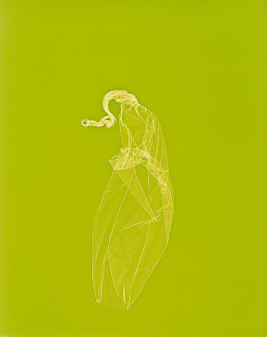 skins_contemporary_photogram_art_print_KatrinaStamatopoulos_the_home_of_sustainable_things_4