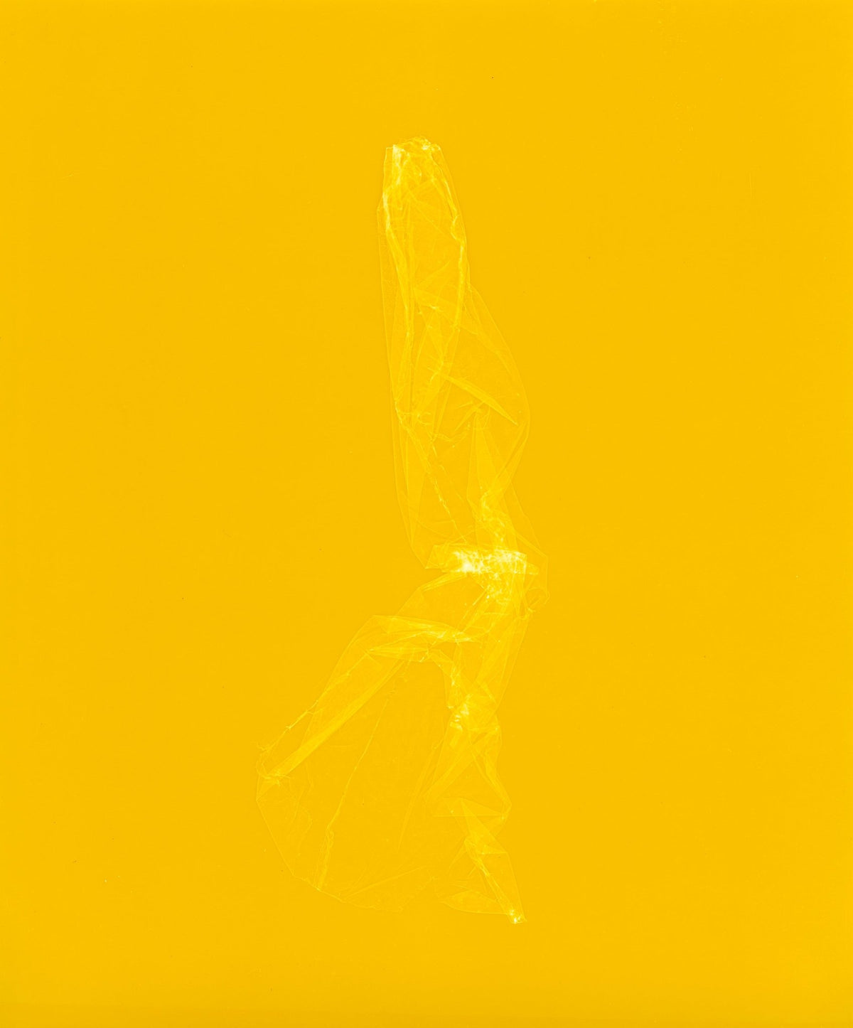 skins_contemporary_photogram_art_print_KatrinaStamatopoulos_the_home_of_sustainable_things_5