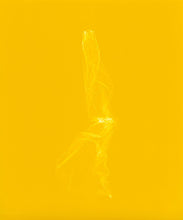 Load image into Gallery viewer, skins_contemporary_photogram_art_print_KatrinaStamatopoulos_the_home_of_sustainable_things_5
